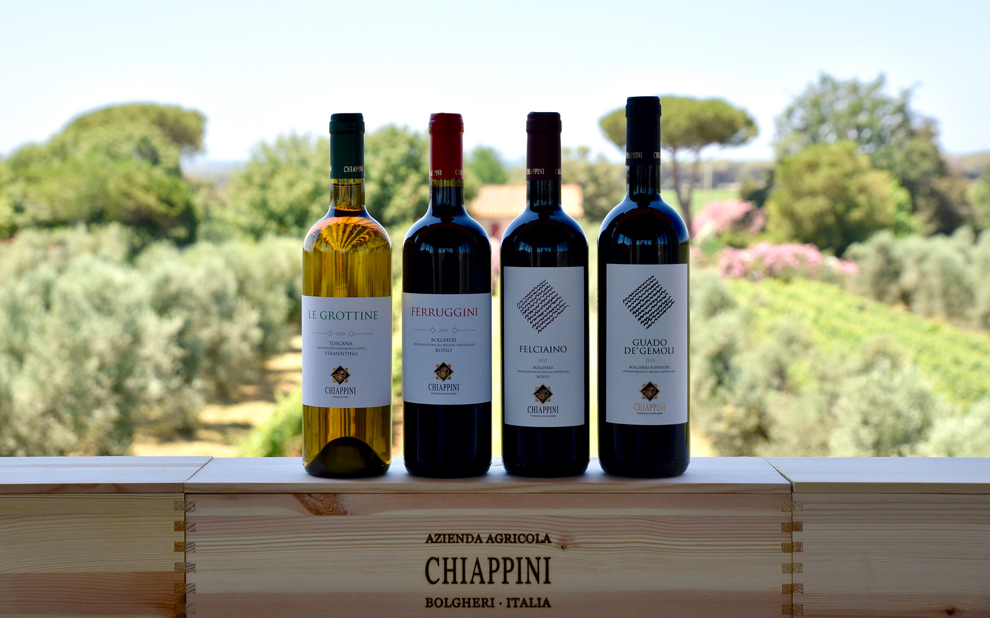 CHIAPPINI - VINI